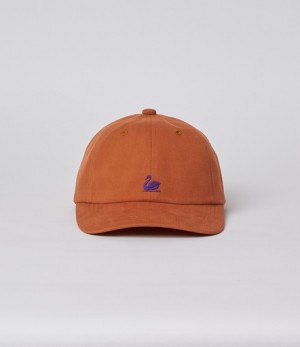 Multicolor Women Merz B. Schwanen CAP01 swan logo Caps | MERZ5304796